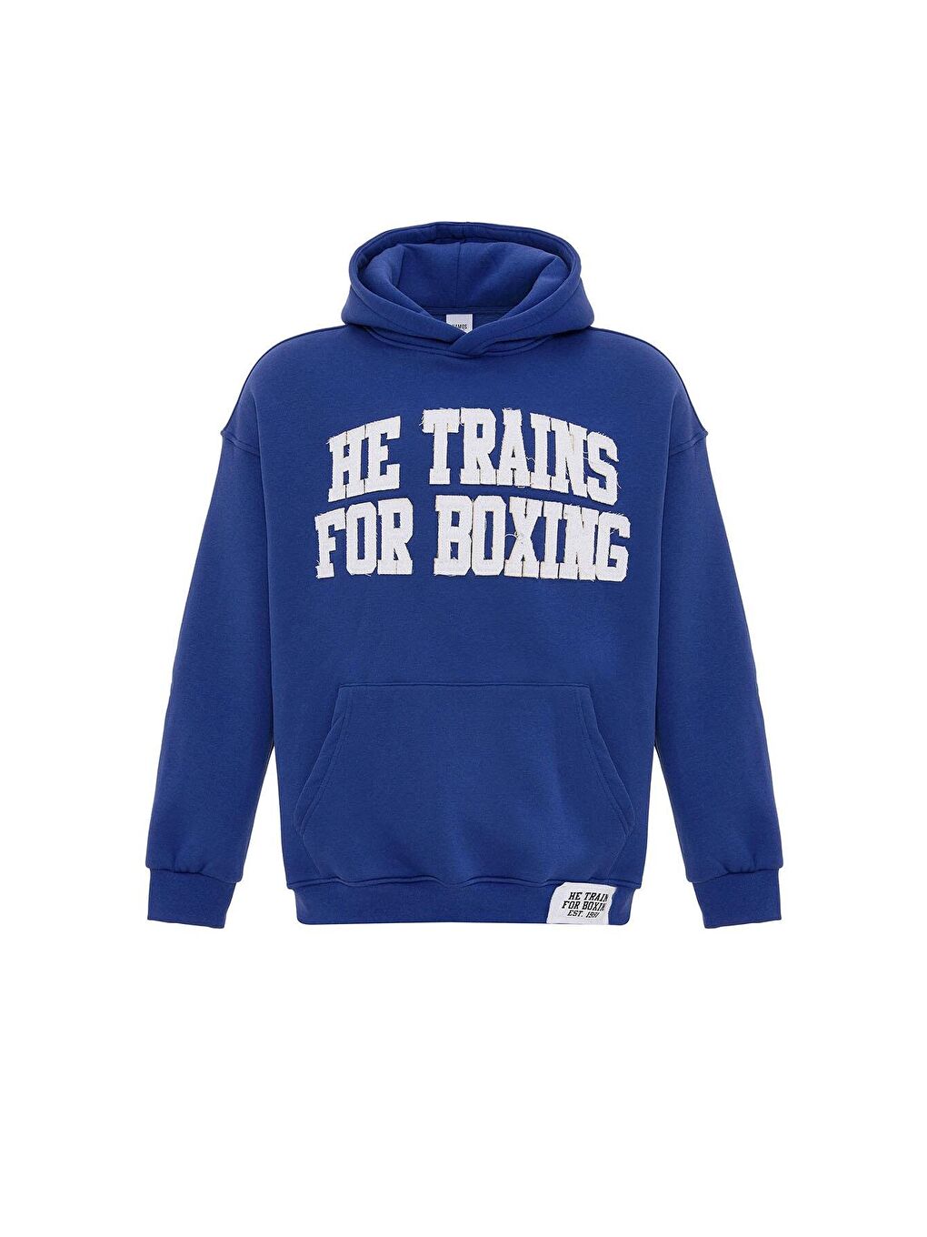 Mavi Yazı Baskılı Oversize Kapüşonlu Erkek Hoodie Saks-6