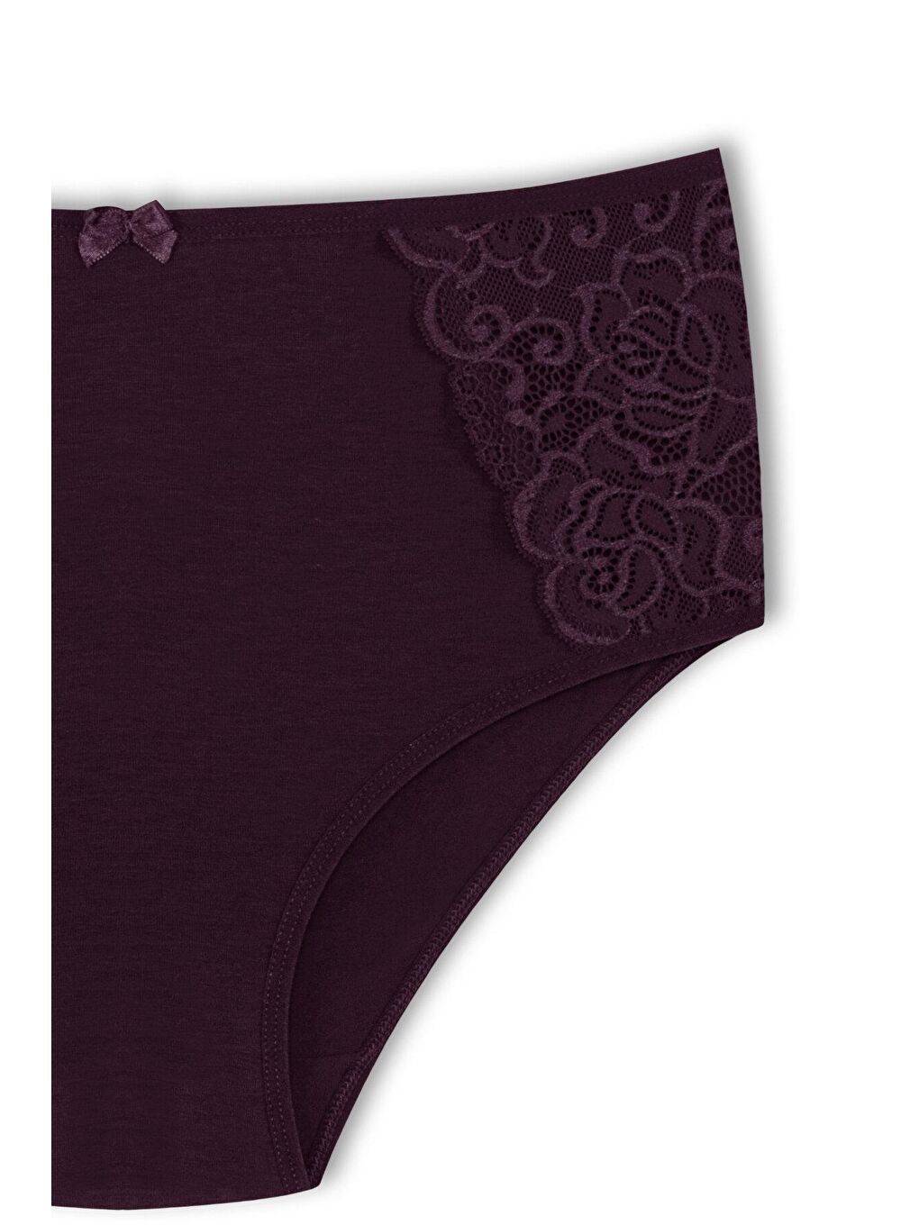 Mor Pamuklu Yanları Dantel Yüksek Bel Büyük Beden Kadın Külot 2'li-3