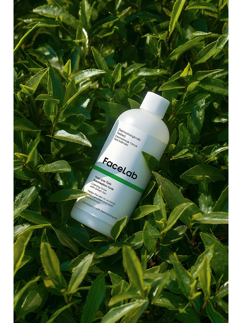 Yeşil Çay Özlü Yatıştırıcı Yüz Toniği-4