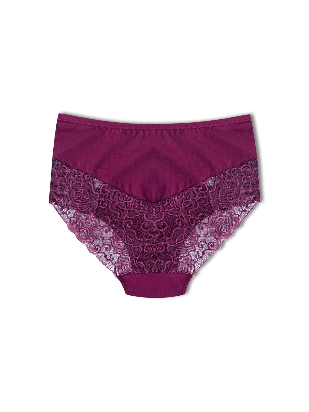 Karışık Pamuklu Yüksek Bel Büyük Beden Paçası Dantel Kadın Külot 3'lü-3