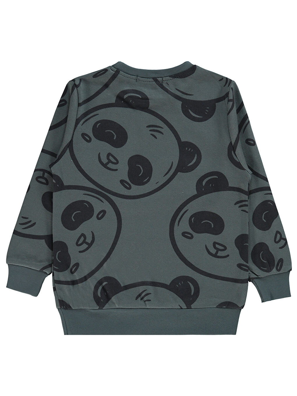 Boys Erkek Çocuk Sweatshirt 2-5 Yaş Antrasit-1