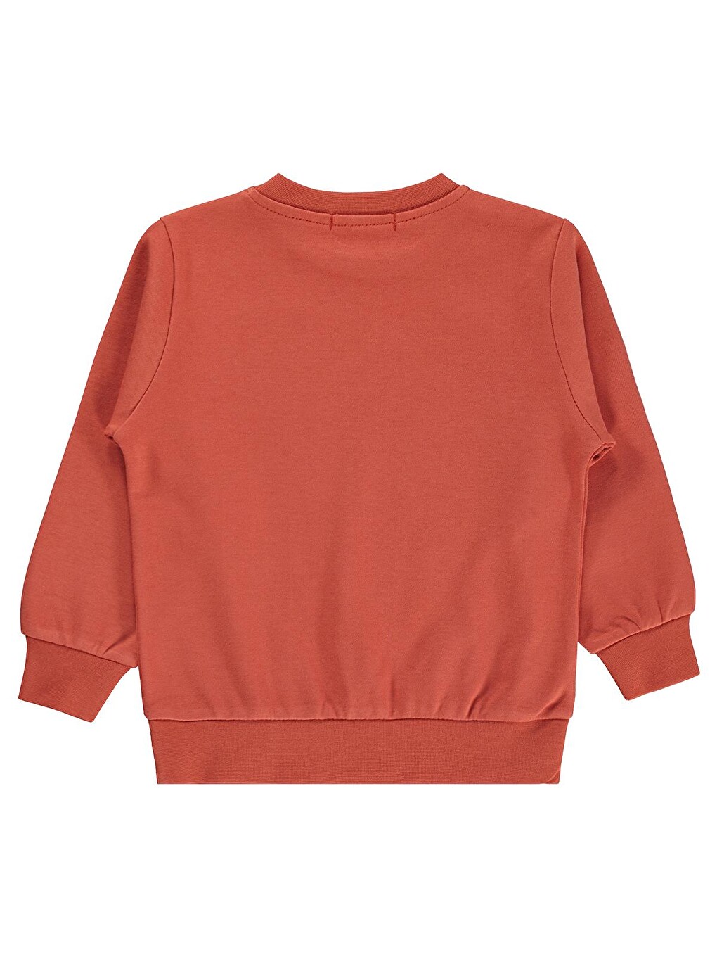 Boys Erkek Çocuk Great Baskılı 2-5 Yaş Sweatshirt - Turuncu-1
