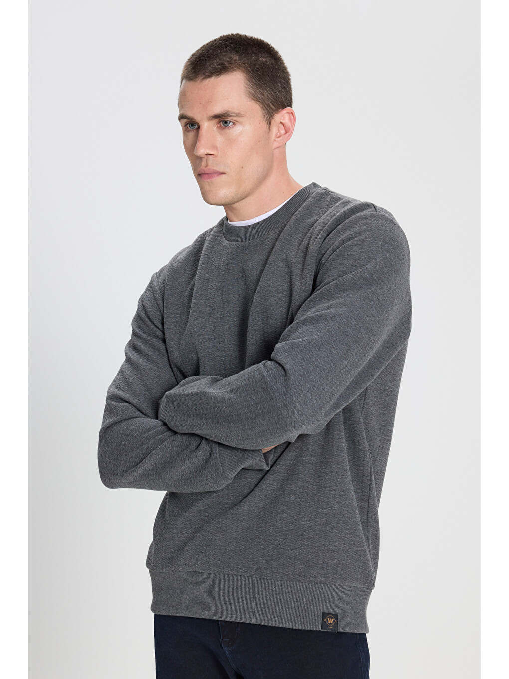 Regular Fit Bisiklet Yaka Antrasit Sweatshirt-1