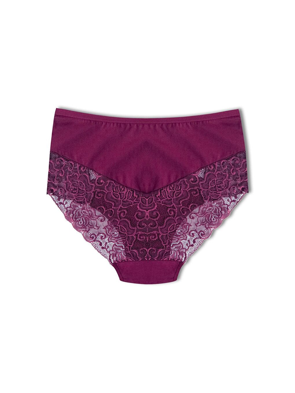 Mor Pamuklu Yüksek Bel Büyük Beden Paçası Dantel Kadın Külot 2'li-3