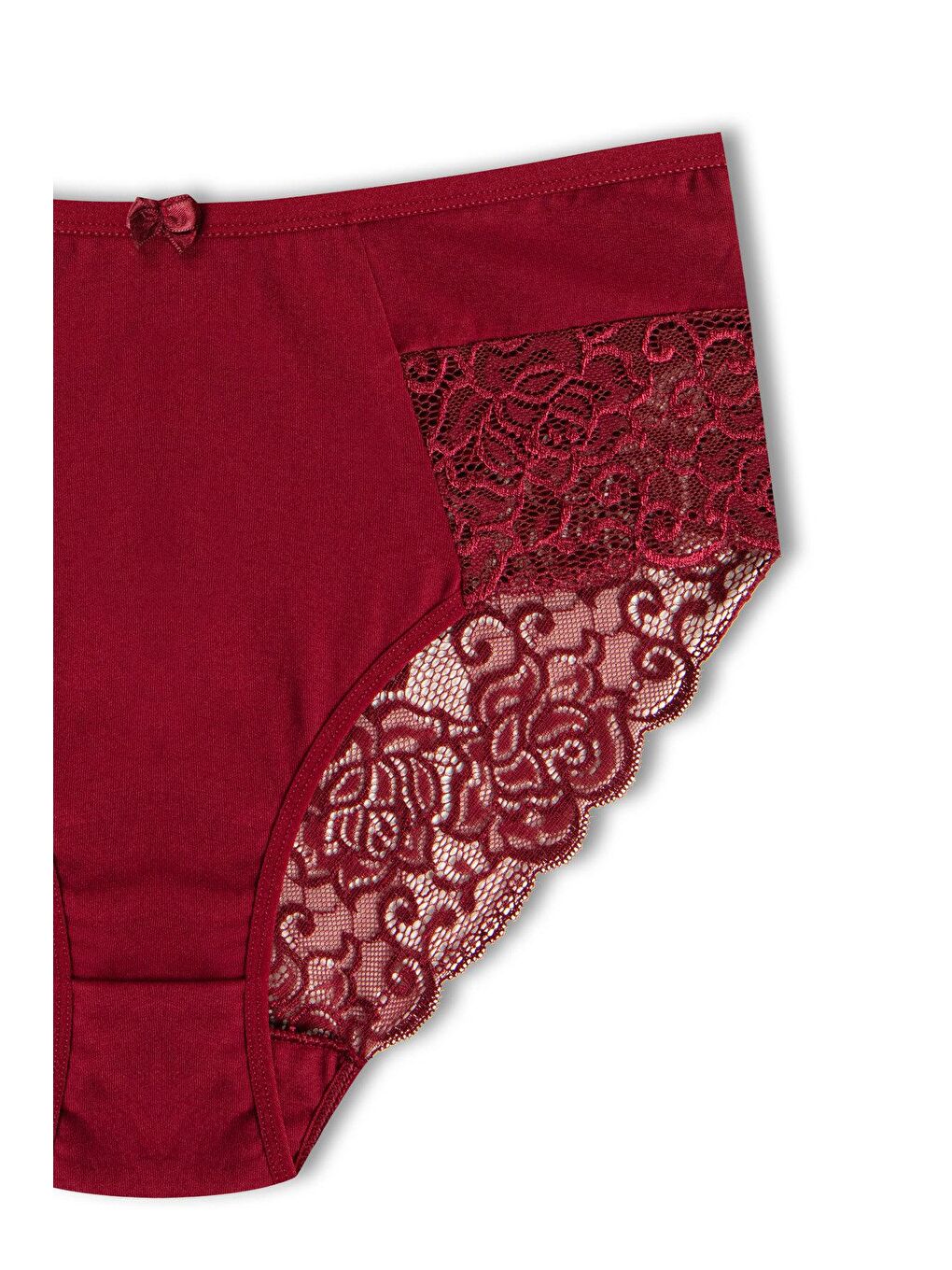 Mor Pamuklu Yüksek Bel Büyük Beden Paçası Dantel Kadın Külot 2'li-4