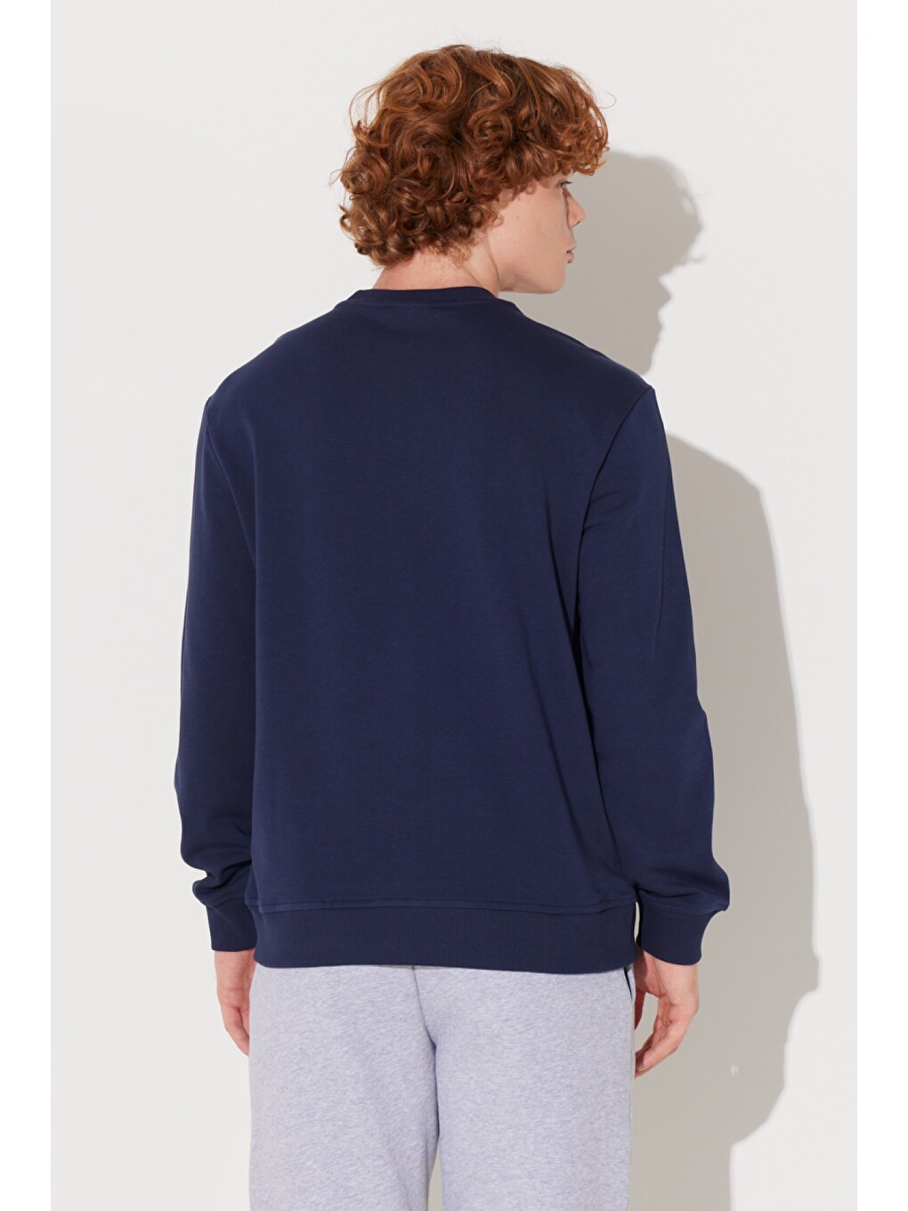 Regular Fit Normal Kesim Bisiklet Yaka Lacivert Sweatshirt-7