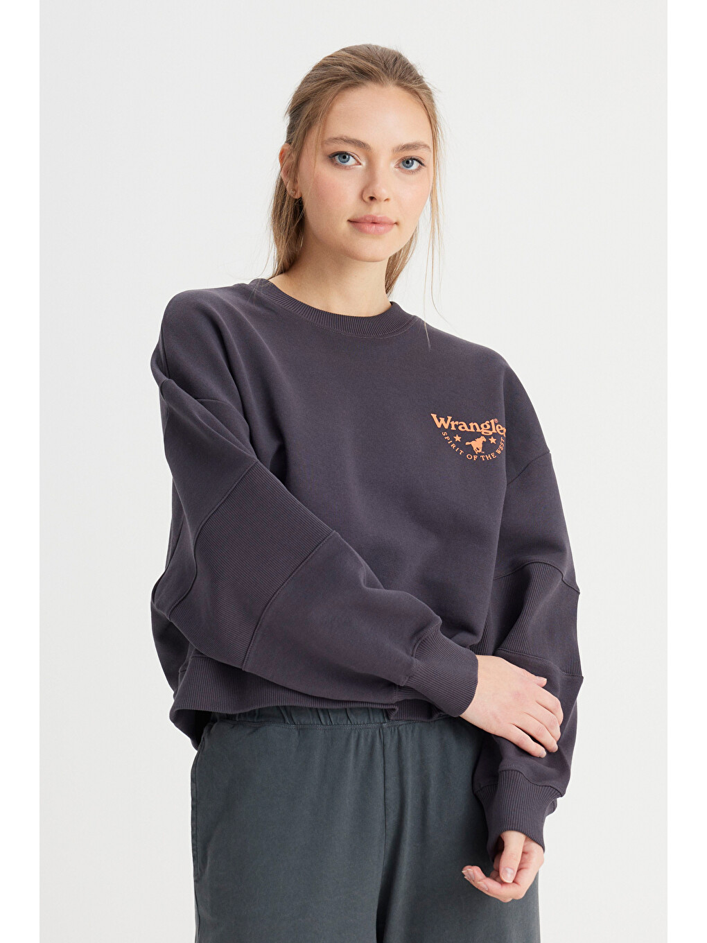 Antrasit Relaxed Fit Geniş Kesim Bisiklet Yaka %100 Pamuk Siyah Sweatshirt
