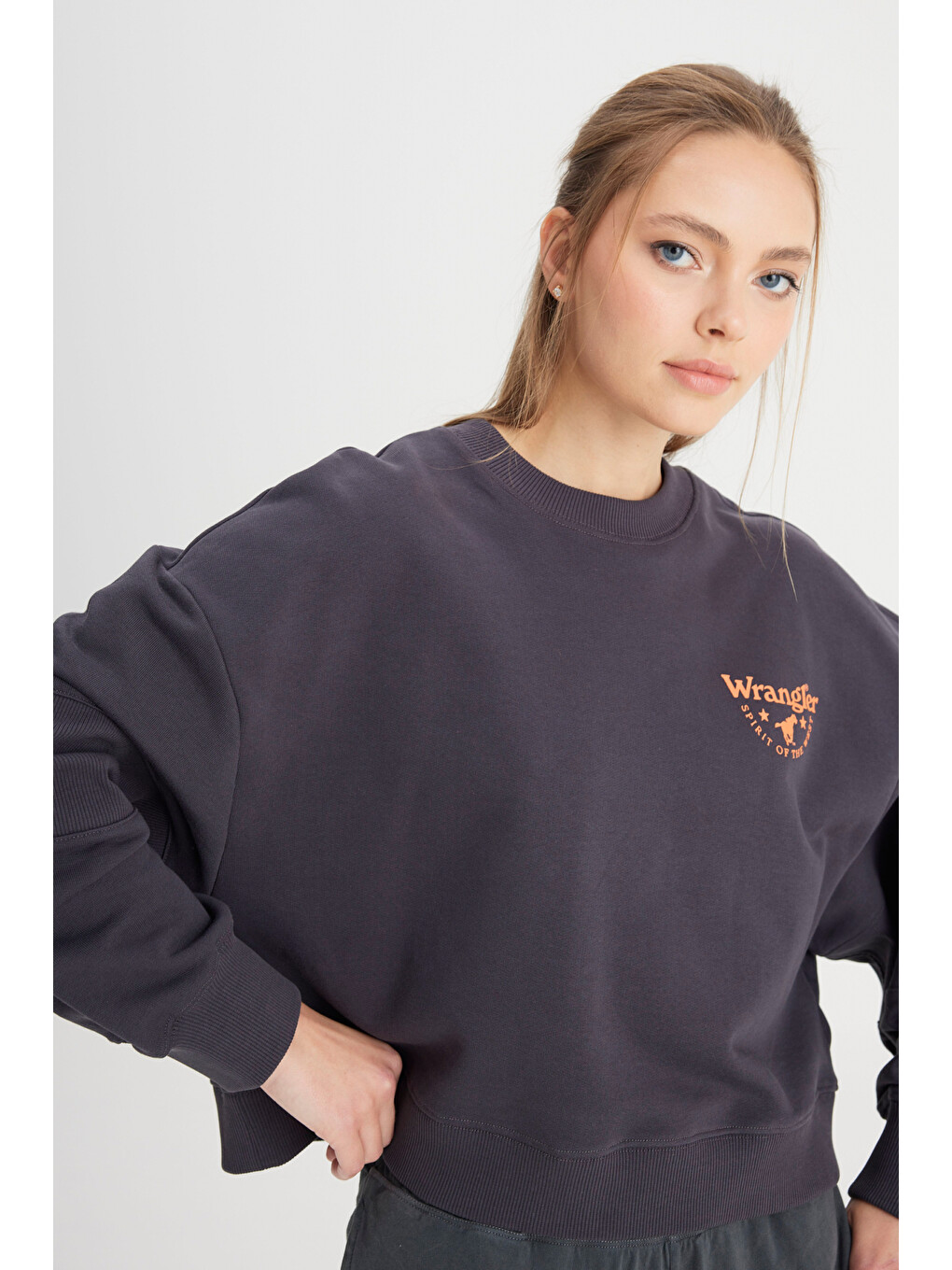 Antrasit Relaxed Fit Geniş Kesim Bisiklet Yaka %100 Pamuk Siyah Sweatshirt-1