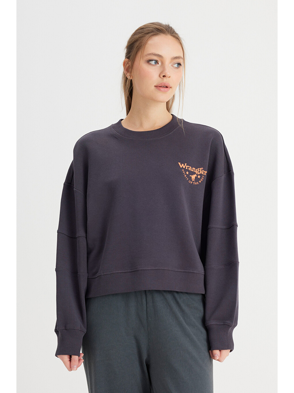 Antrasit Relaxed Fit Geniş Kesim Bisiklet Yaka %100 Pamuk Siyah Sweatshirt-4