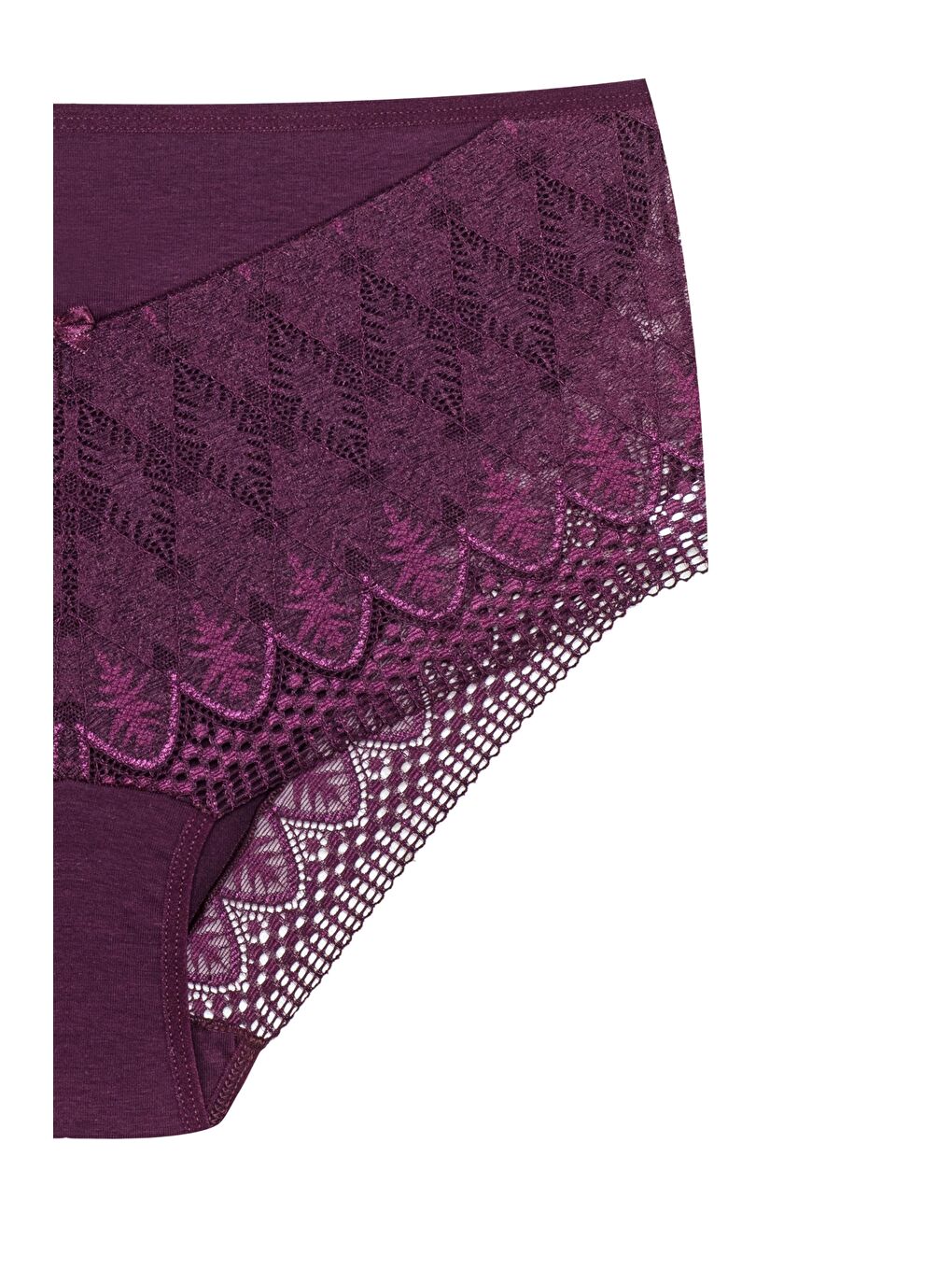 Mor Önü ve Paçası Dantel Detaylı Büyük Beden Kadın Külot-2