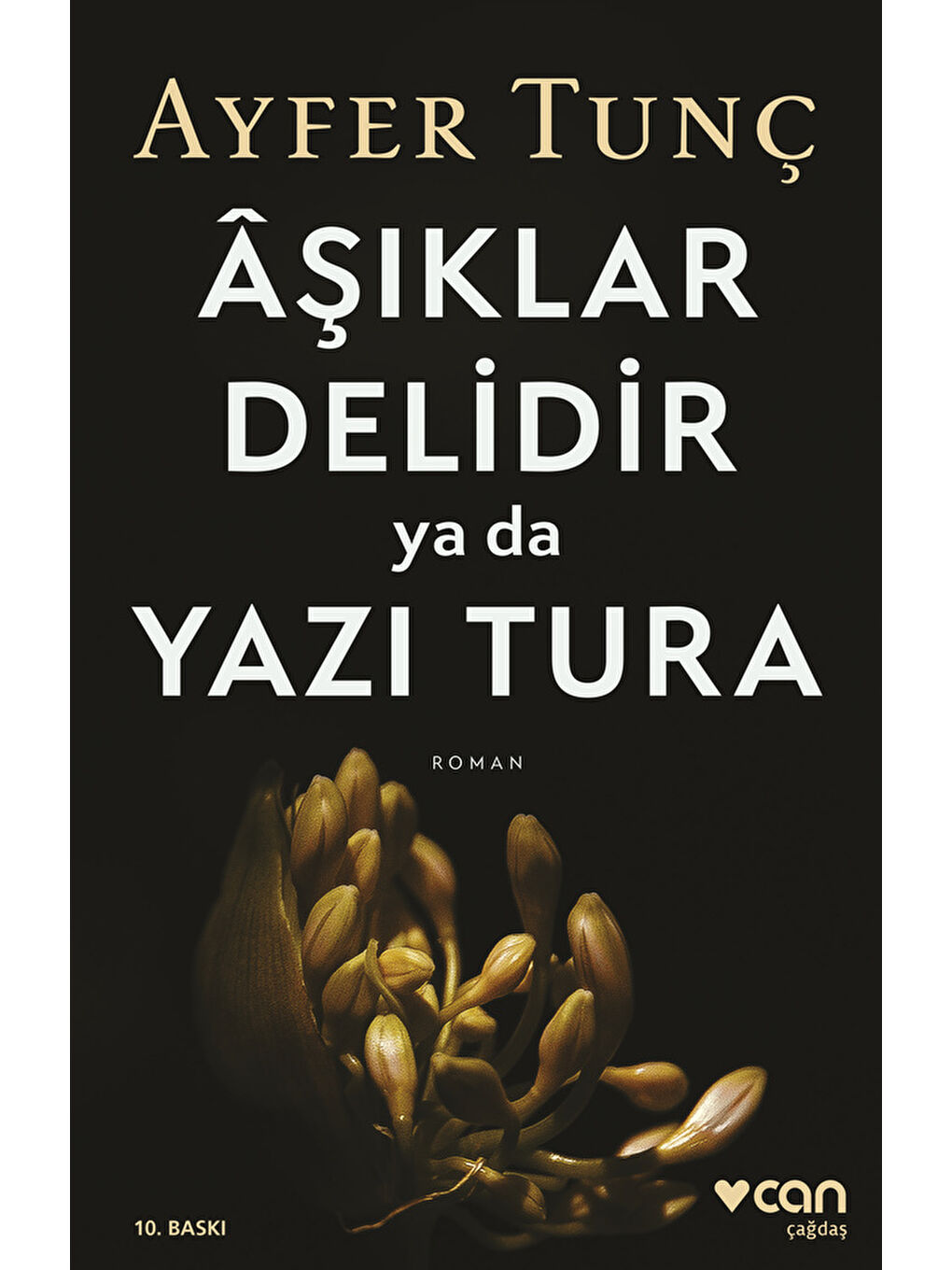 Âşıklar Delidir ya da Yazı Tura