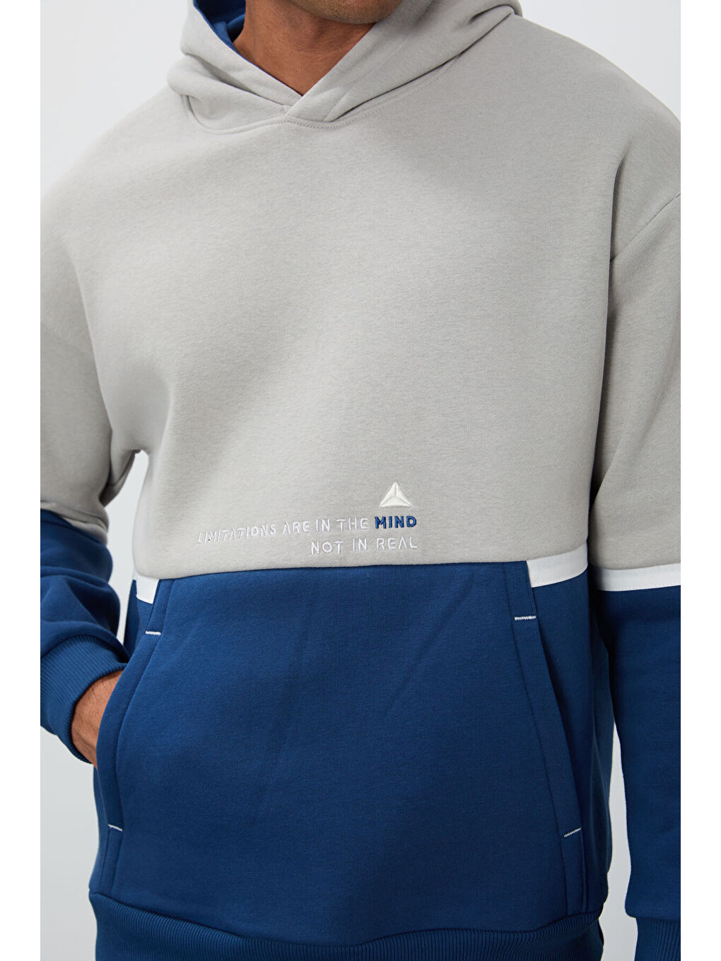 Bej Taş Pamuklu Kalın İçi Tüylü Yumuşak Dokulu Comfort Fit Nakışlı  Erkek Hoodie - 88417-1