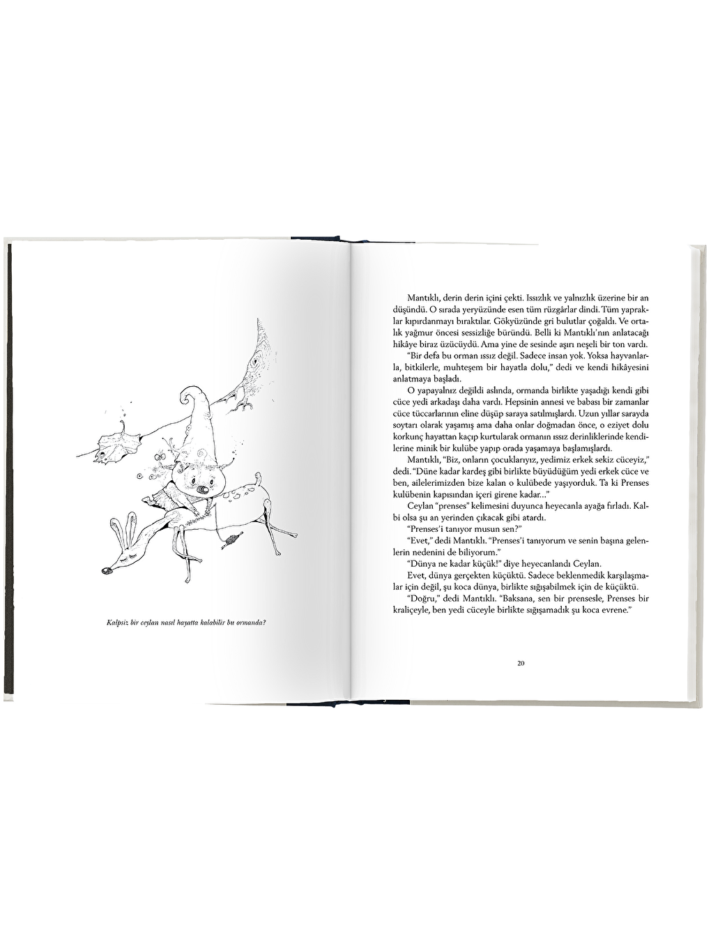 Ormandaki Kalpsiz Ceylan-2