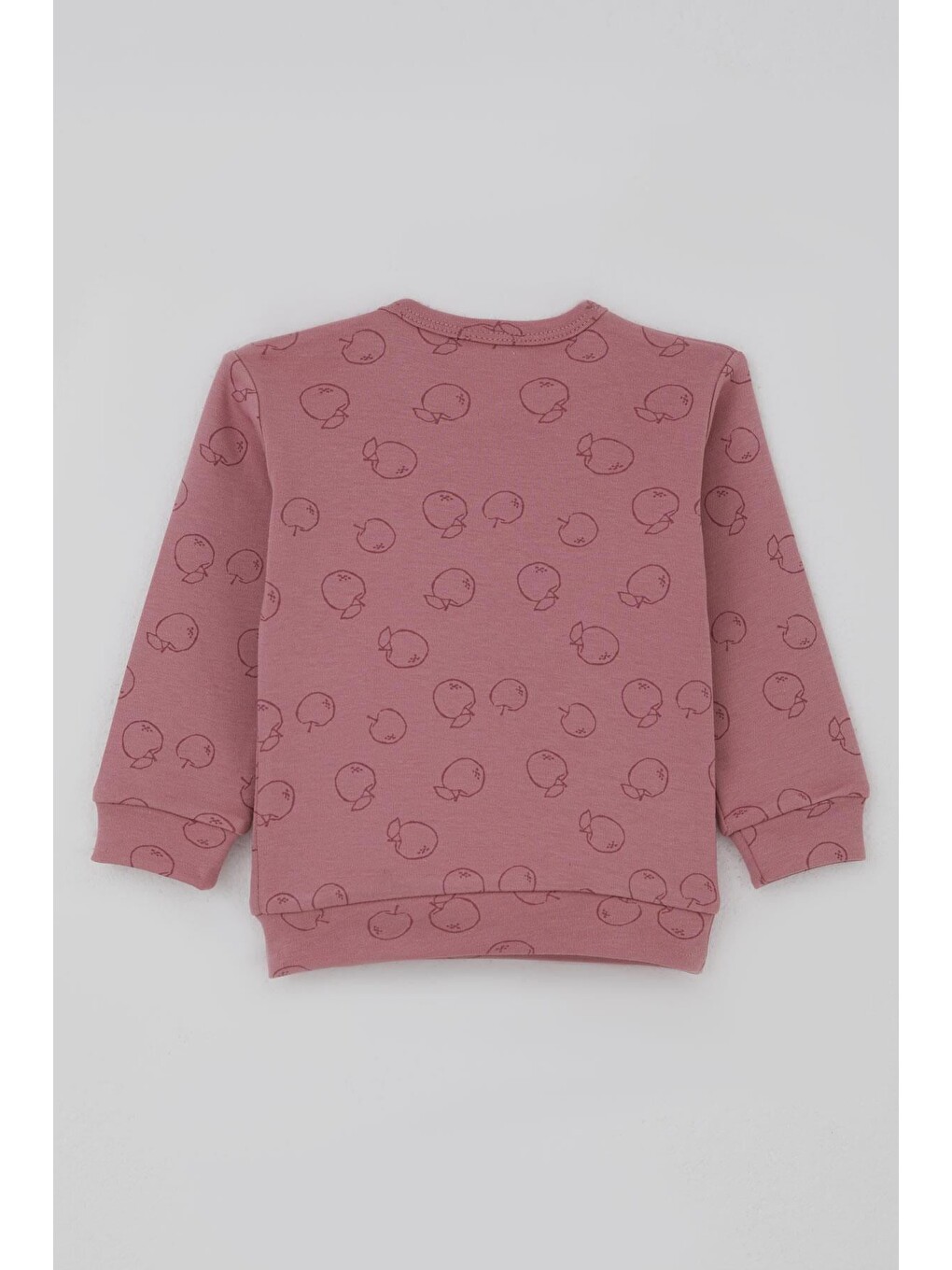 Pembe Kız Bebek Pijama Takımı Omuzdan Patlı Elma Bahçesi Gülkurusu (4 Ay-1 Yaş)-3