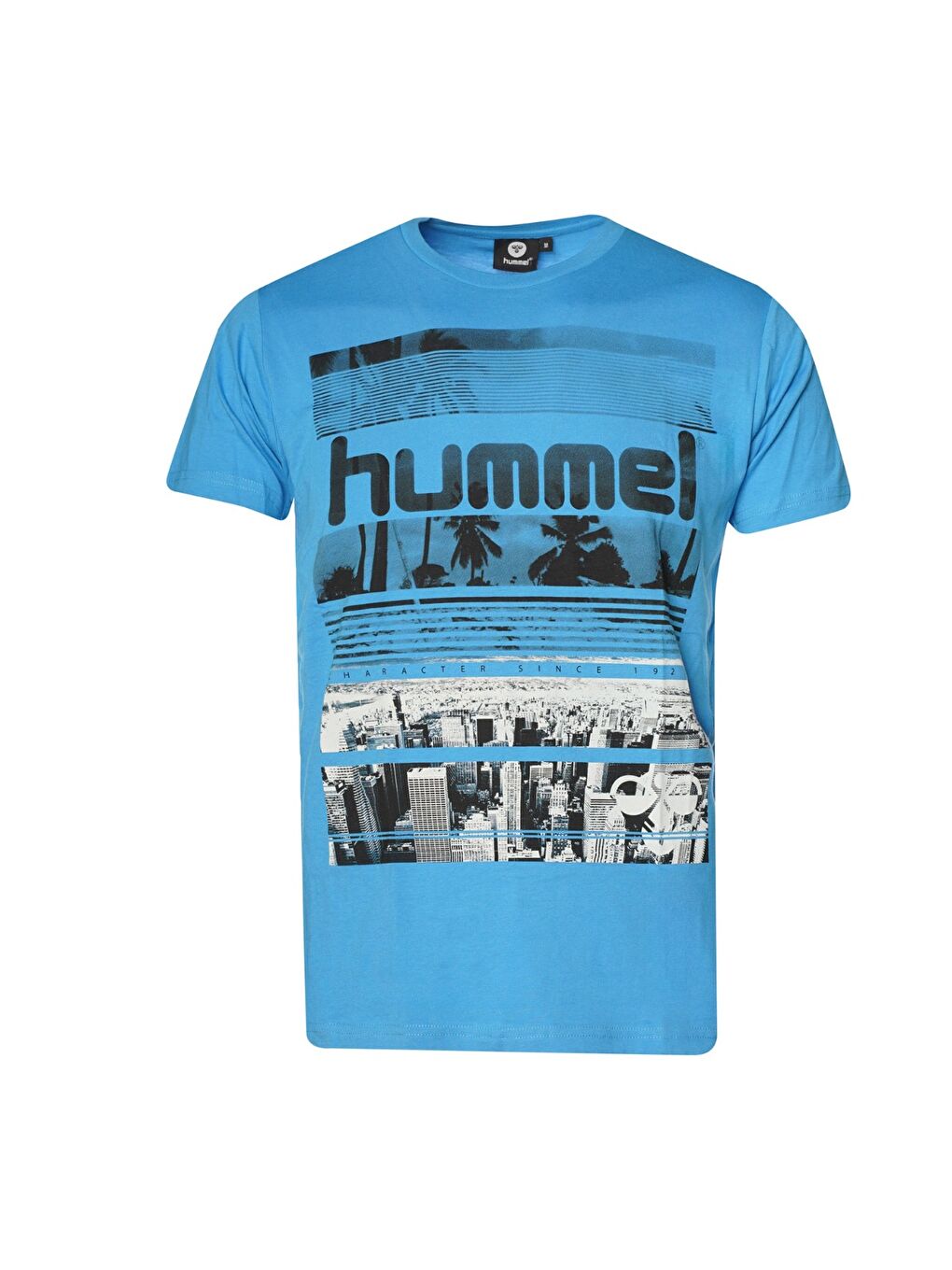 Dean Erkek Mavi Baskılı Bisiklet Yaka Tişört-1