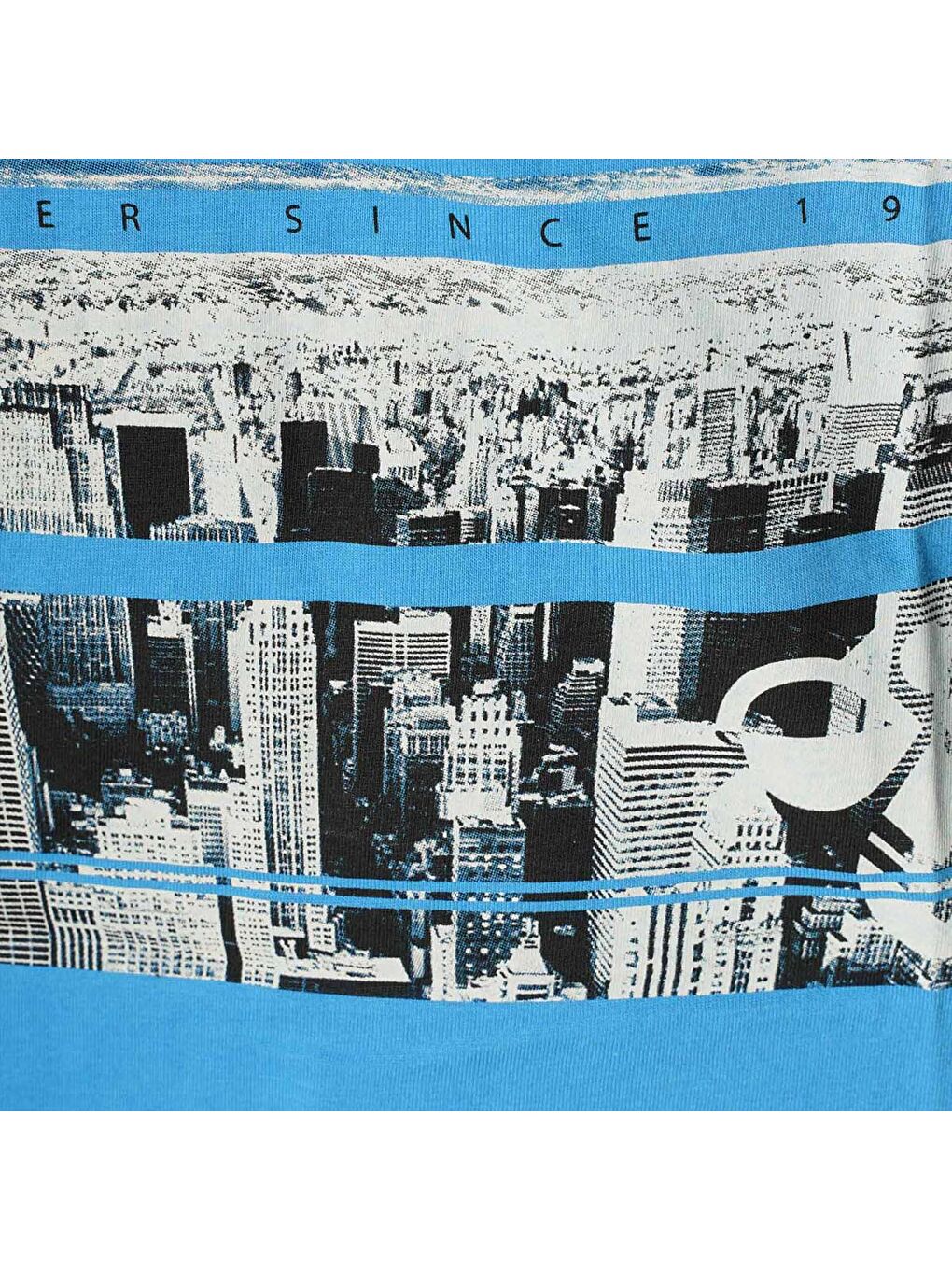 Dean Erkek Mavi Baskılı Bisiklet Yaka Tişört-3