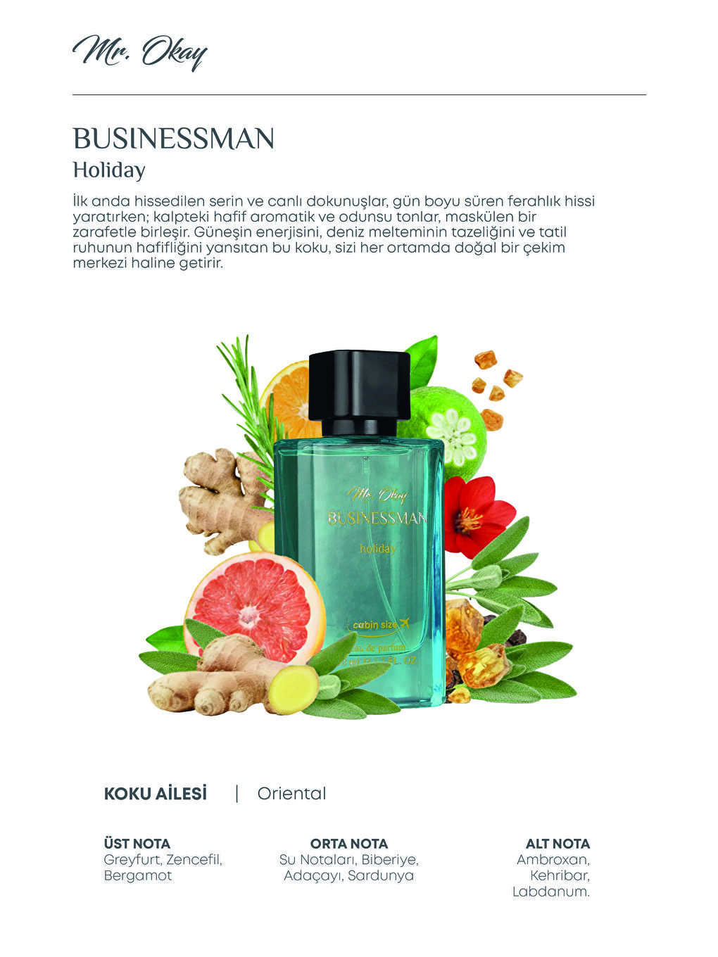 Mr. Okay Businessman Holiday 50 ML-7