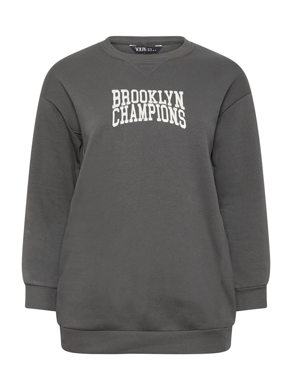 Gri Büyük Beden Bisiklet Yaka Uzun Kollu Önü Baskılı Sweatshirt 302841-5