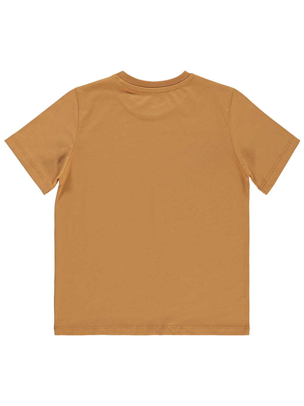 Kahverengi Boys Erkek Çocuk Tişört 6-9 Yaş Tarçın-1