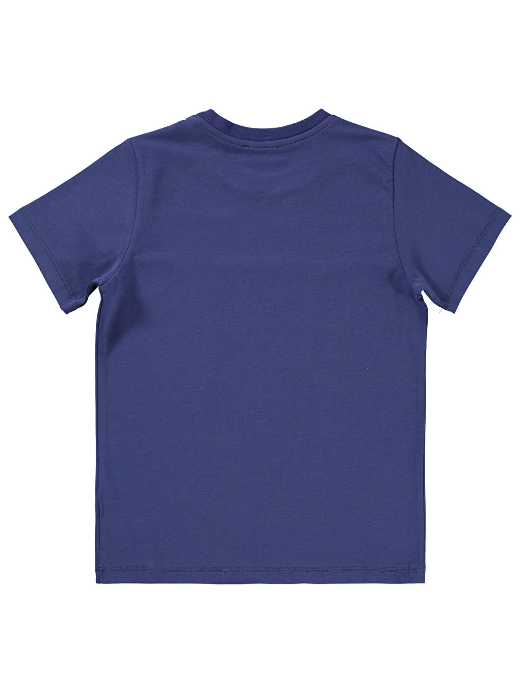 Boys Erkek Çocuk Tişört 10-13 Yaş Mor-1