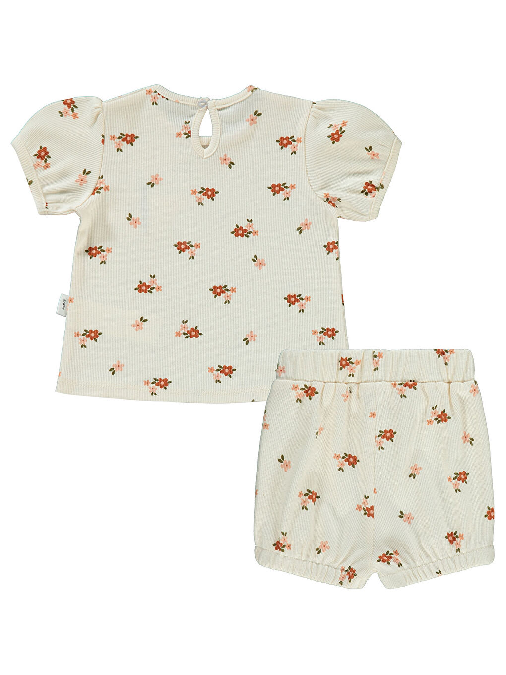 Bej Baby Kız Bebek Şortlu Takım 6-18 Ay FilDişi-1