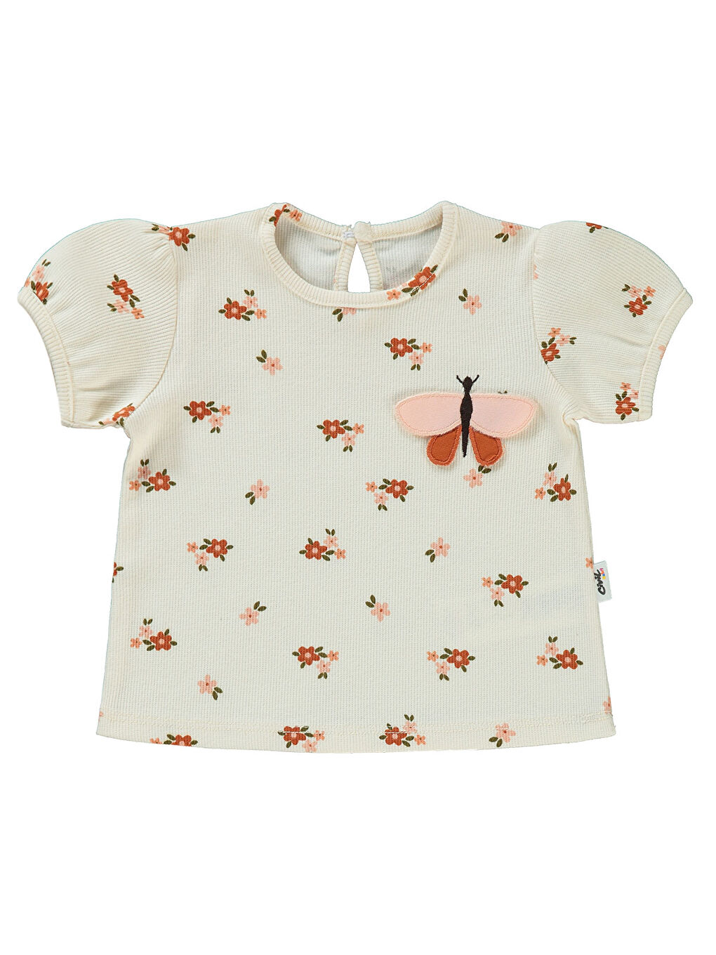 Bej Baby Kız Bebek Şortlu Takım 6-18 Ay FilDişi-2