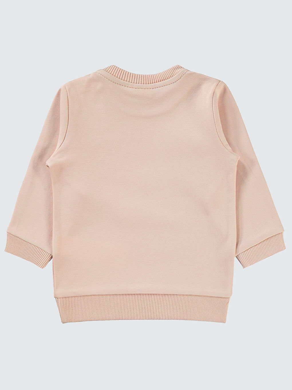 Pembe Baby Kız Bebek Sweatshirt 6-18 Ay Pudra-1