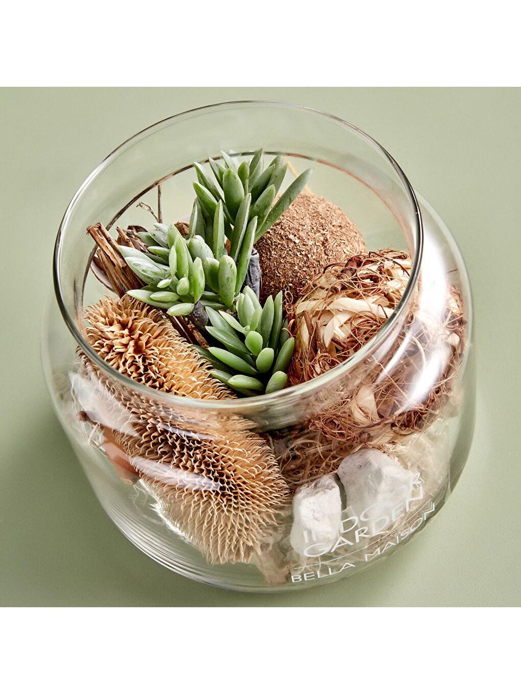 Bej Sukulent Büyük Aranjman Yeşil-1