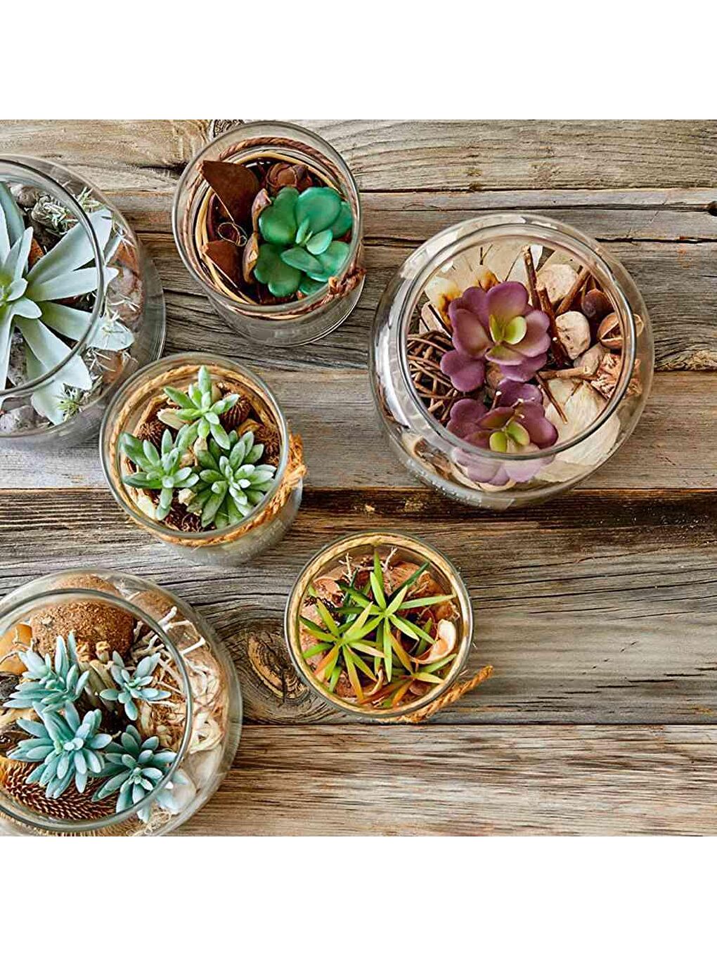 Bej Sukulent Büyük Aranjman Yeşil-2