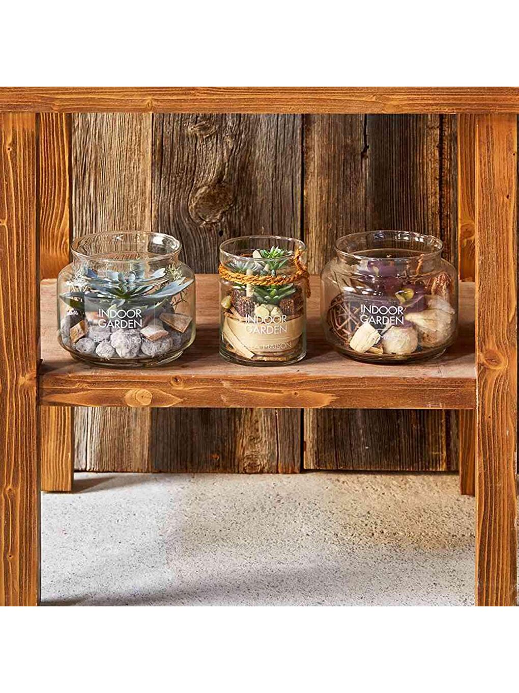 Bej Sukulent Büyük Aranjman Yeşil-3