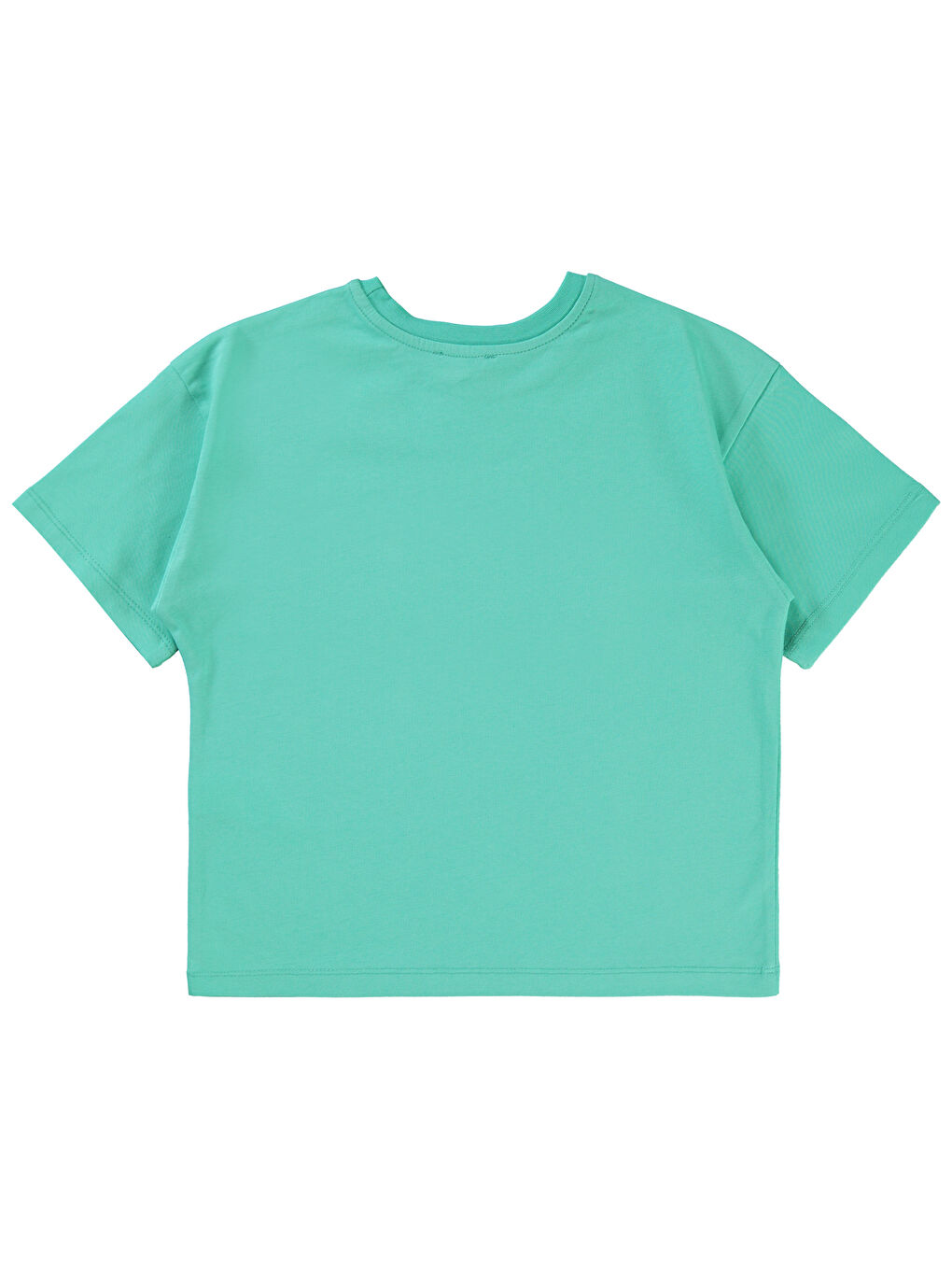 Yeşil Boys Erkek Çocuk Tişört 10-13 Yaş Mint-1