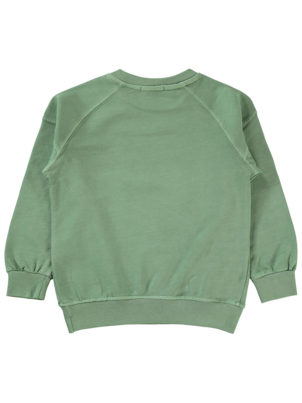 Boys Erkek Çocuk Sweatshirt 2-5 Yaş Haki-1