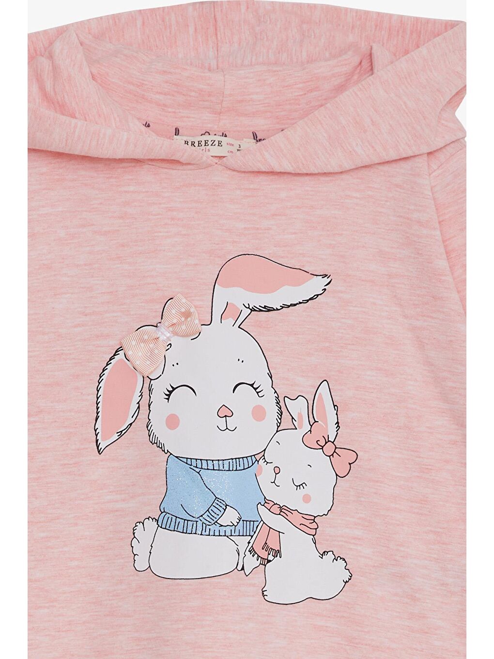 Pembe Kız Çocuk Sweatshirt Tavşancık Baskılı Somon Melanj (1.5-5 Yaş)-2
