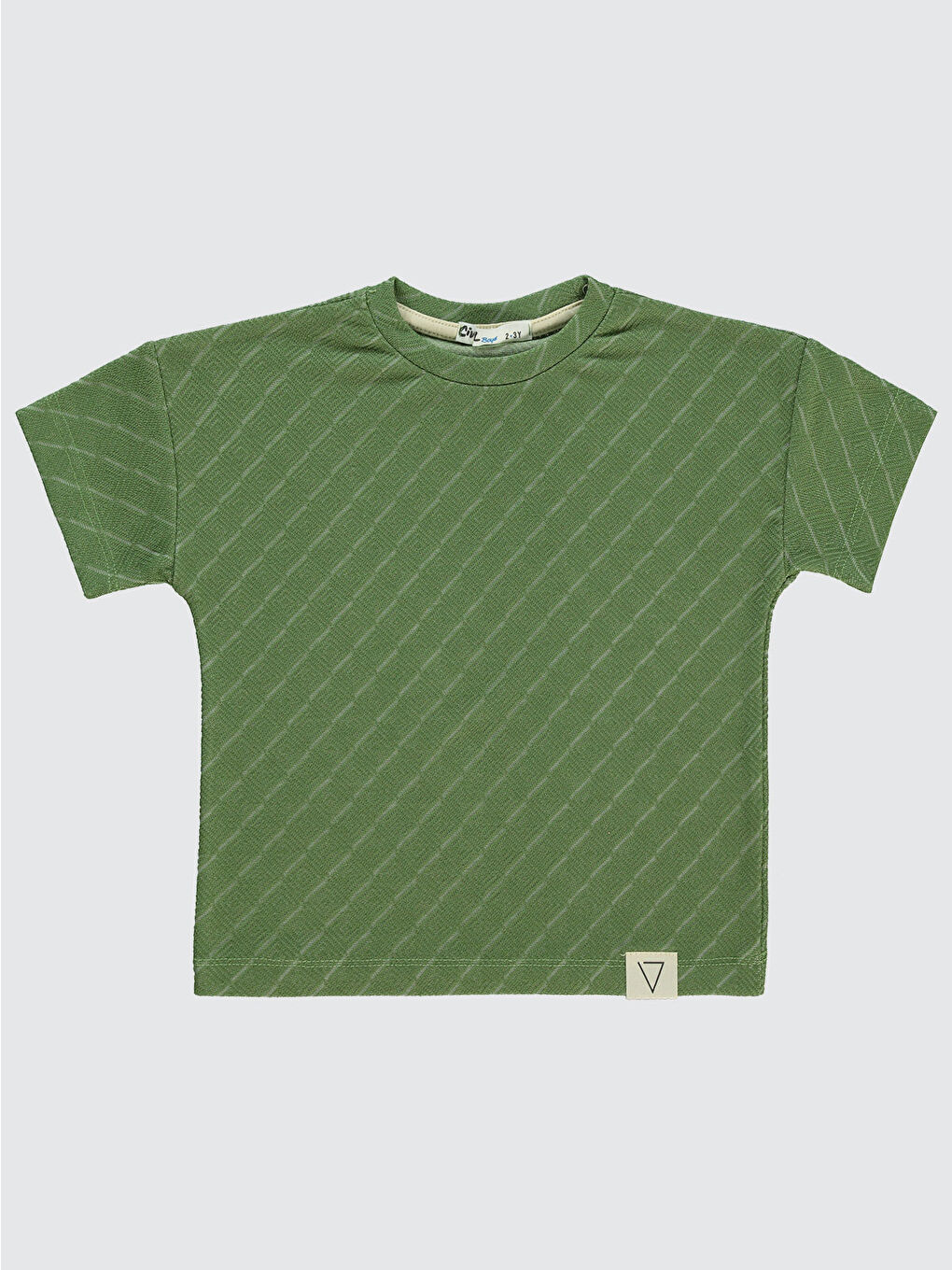 Boys Erkek Çocuk Tişört 2-5 Yaş Haki