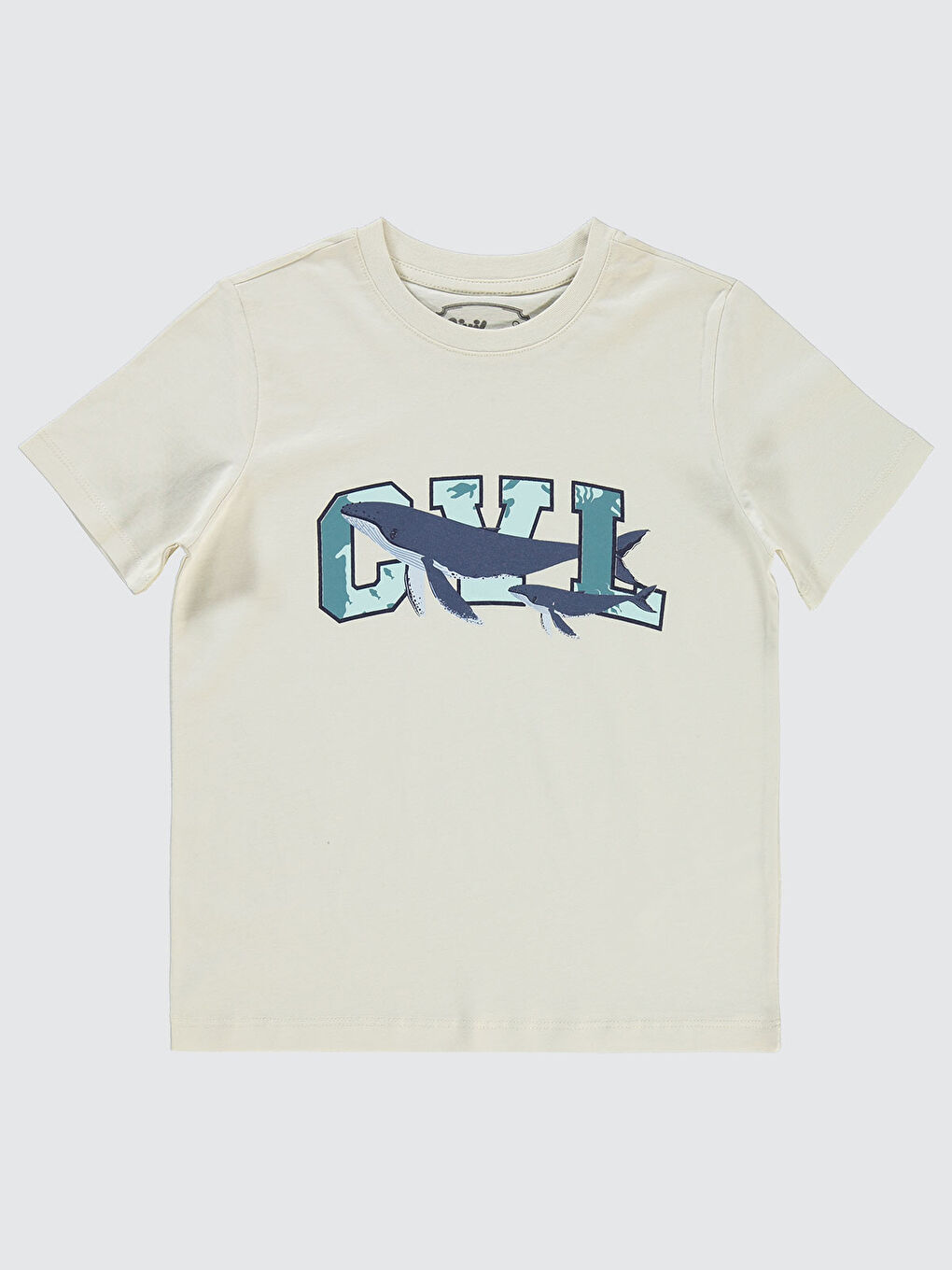 Bej Boys Erkek Çocuk Tişört 6-9 Yaş Fildişi