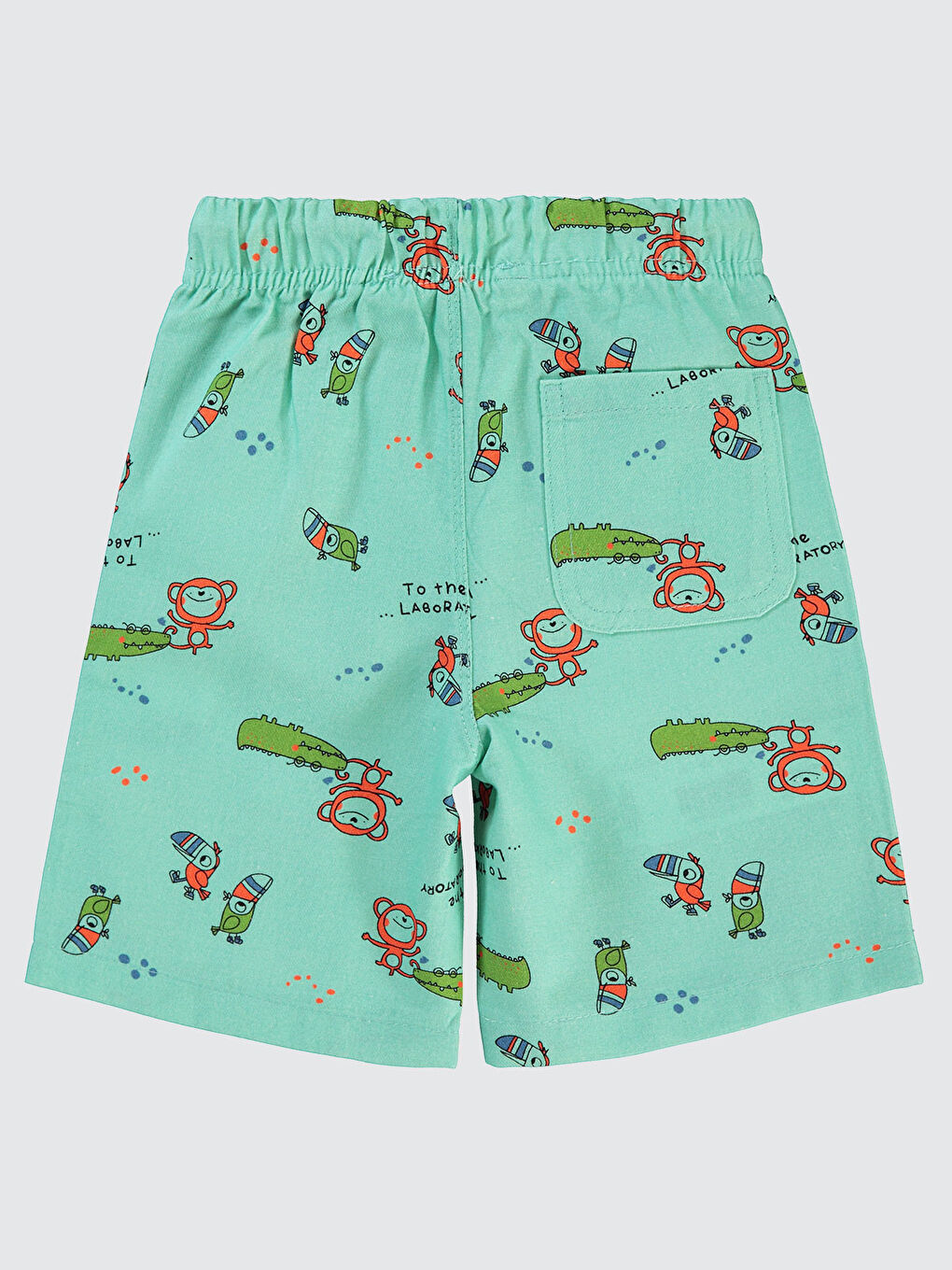 Yeşil Boys Erkek Çocuk Şort 2-5 Yaş Mint-1