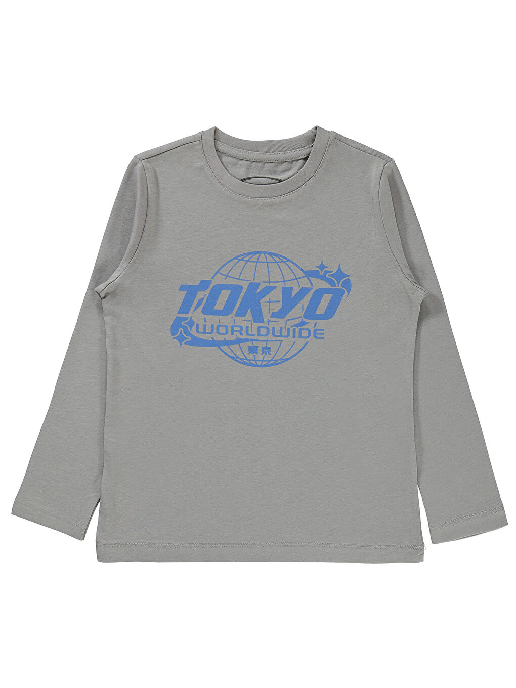 Erkek Çocuk Sweatshirt 6-9 Yaş Gri