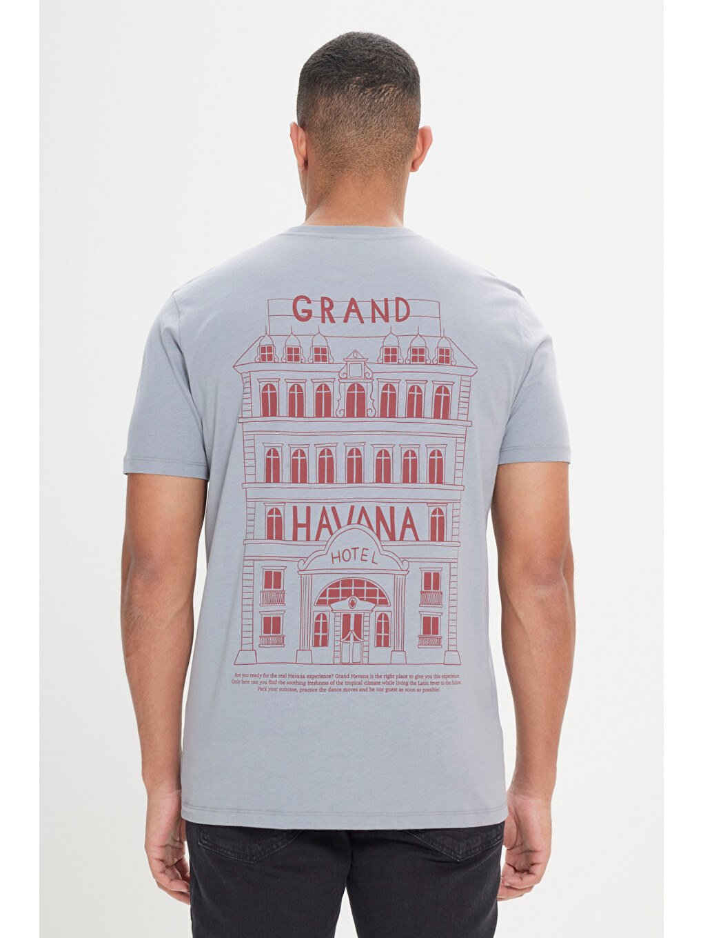 Erkek Gri Standart Fit Normal Kesim %100 Pamuk Baskılı Bisiklet Yaka Tişört-1
