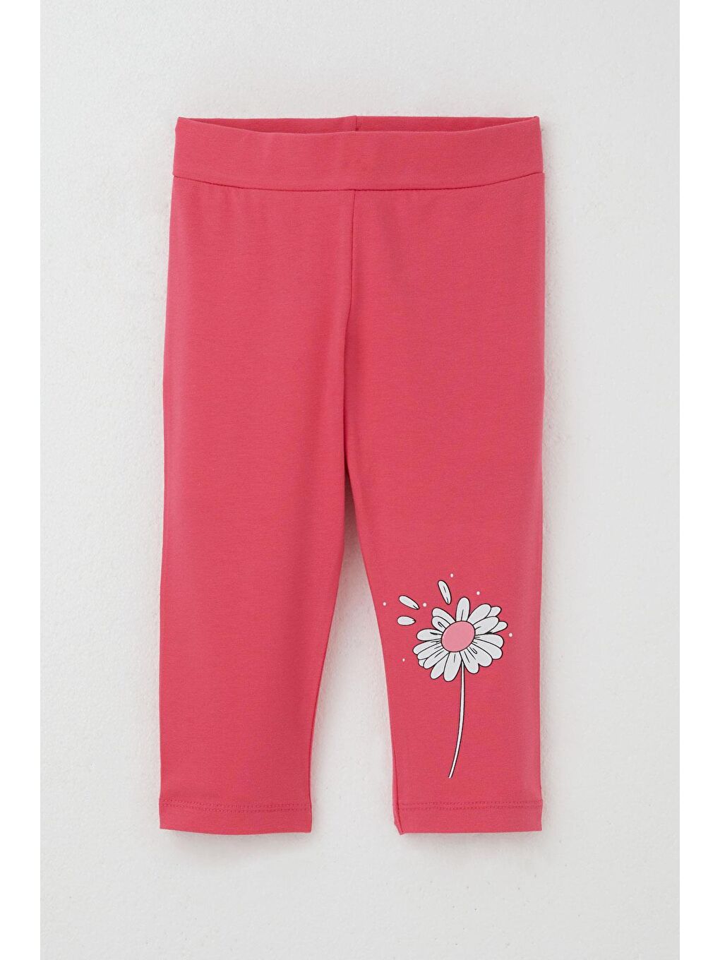 Kız Çocuk Kapri Taytlı Takım Papatya Perisi Ekru (2-5 Yaş)-4