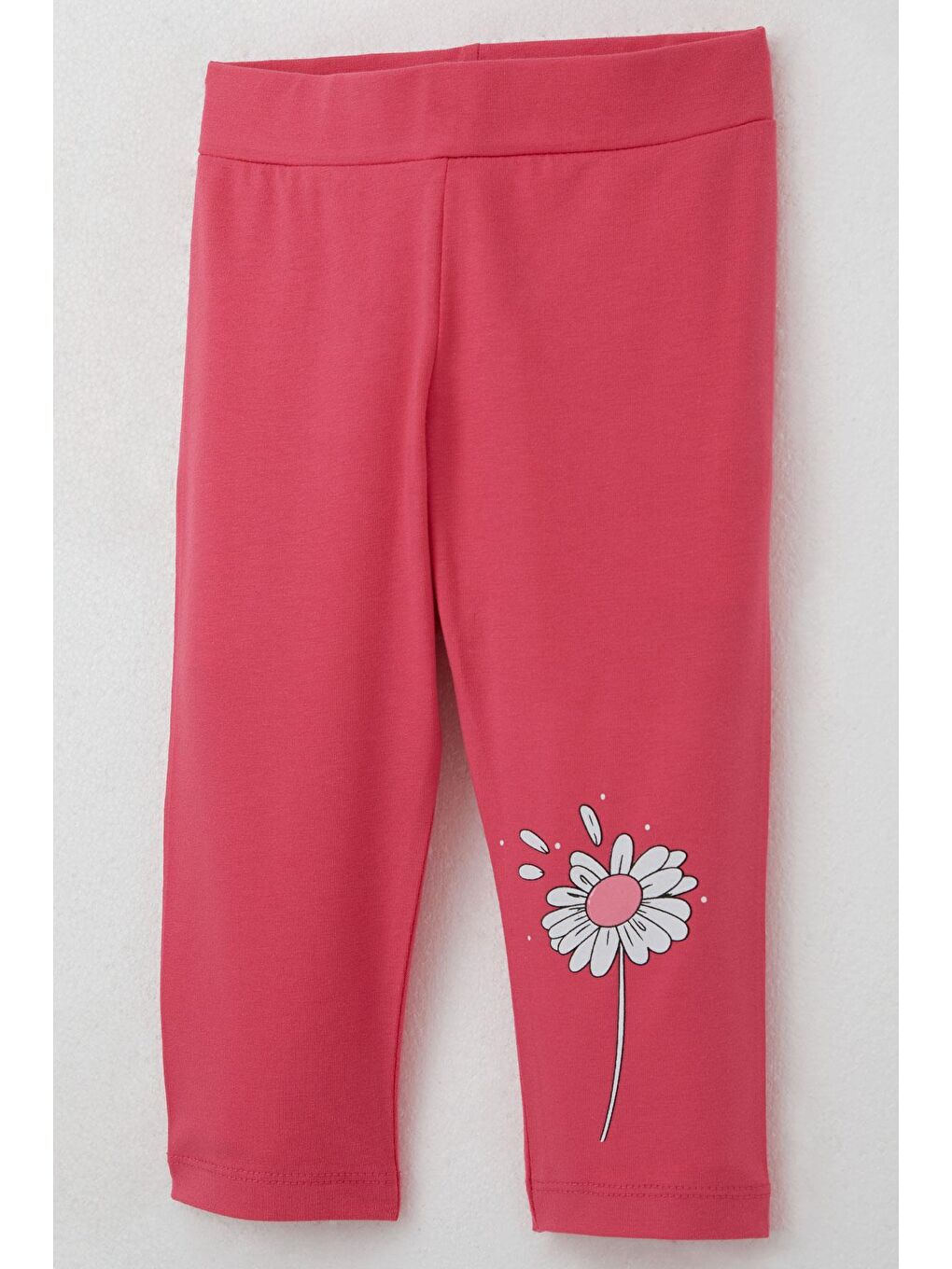 Kız Çocuk Kapri Taytlı Takım Papatya Perisi Ekru (2-5 Yaş)-8