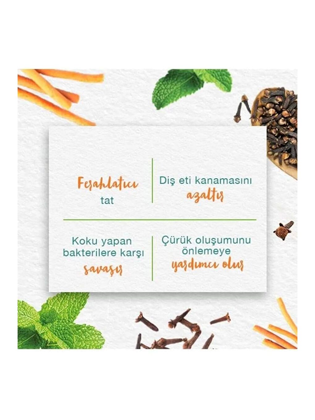 Mint Fresh Ferahlatıcı Diş Macunu, Bitkisel, Vejetaryen, Florürsüz, Parabensiz, 75 Ml 3 Adet-3