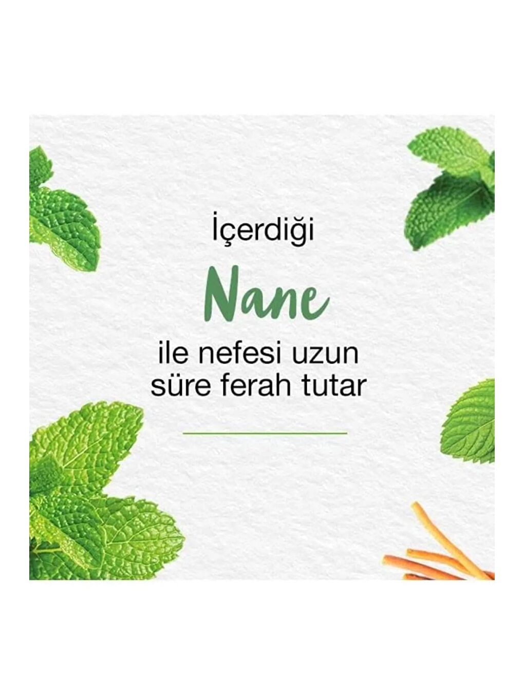 Mint Fresh Ferahlatıcı Diş Macunu, Bitkisel, Vejetaryen, Florürsüz, Parabensiz, 75 Ml 3 Adet-4