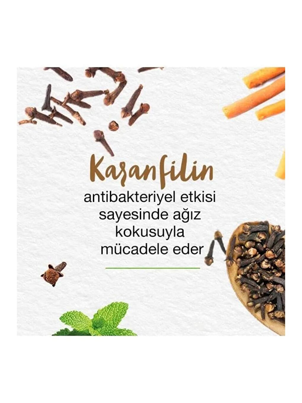 Mint Fresh Ferahlatıcı Diş Macunu, Bitkisel, Vejetaryen, Florürsüz, Parabensiz, 75 Ml 3 Adet-5