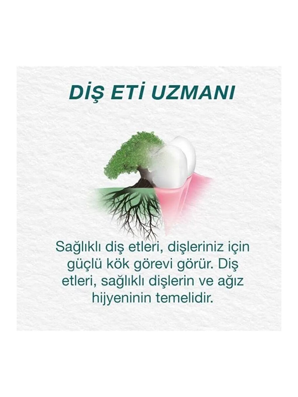 Mint Fresh Ferahlatıcı Diş Macunu, Bitkisel, Vejetaryen, Florürsüz, Parabensiz, 75 Ml 3 Adet-7