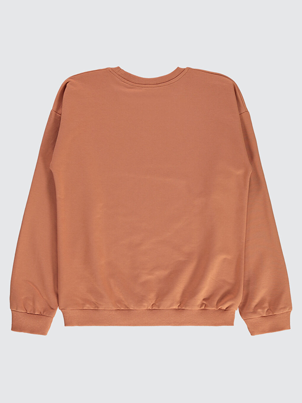 Kahverengi Scooby Doo Kız Çocuk Sweatshirt 10-13 Yaş Kiremit-1