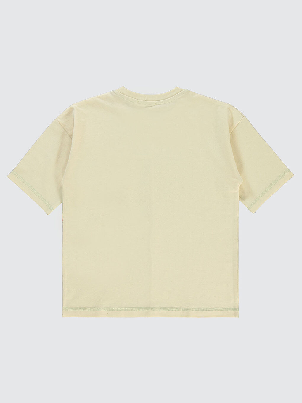 Boys Erkek Çocuk Tişört 6-9 Yaş Mint Yeşili-1