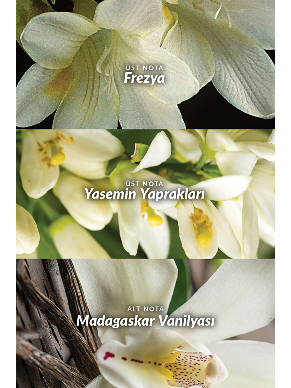 Far Away Kadın Parfüm Edp 30 Ml. Üçlü Set-2