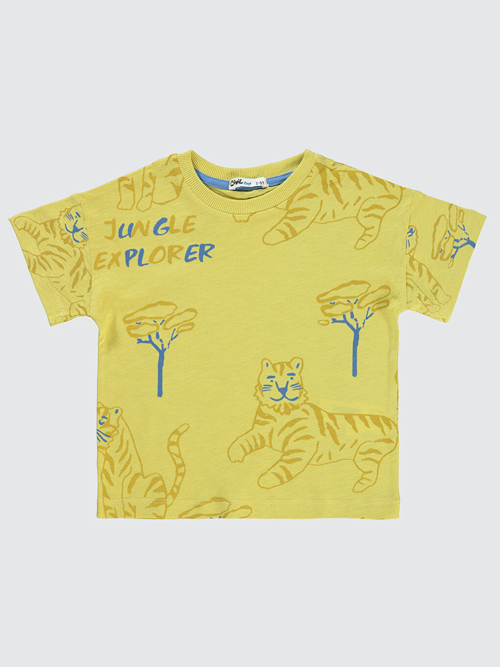 Kahverengi Boys Erkek Çocuk Tişört 2-5 Yaş Hardal