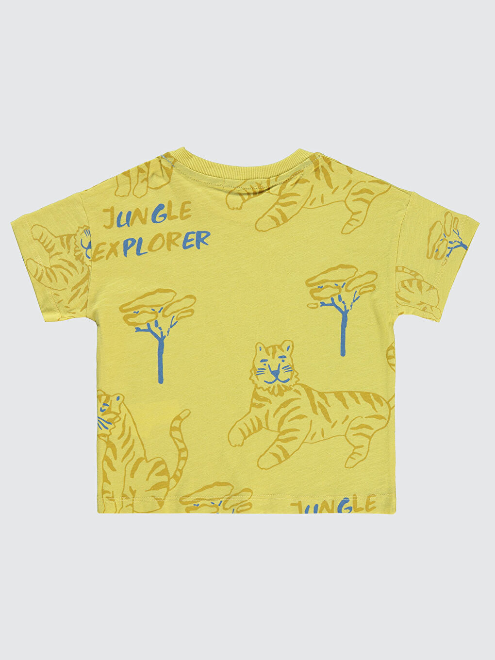 Kahverengi Boys Erkek Çocuk Tişört 2-5 Yaş Hardal-1