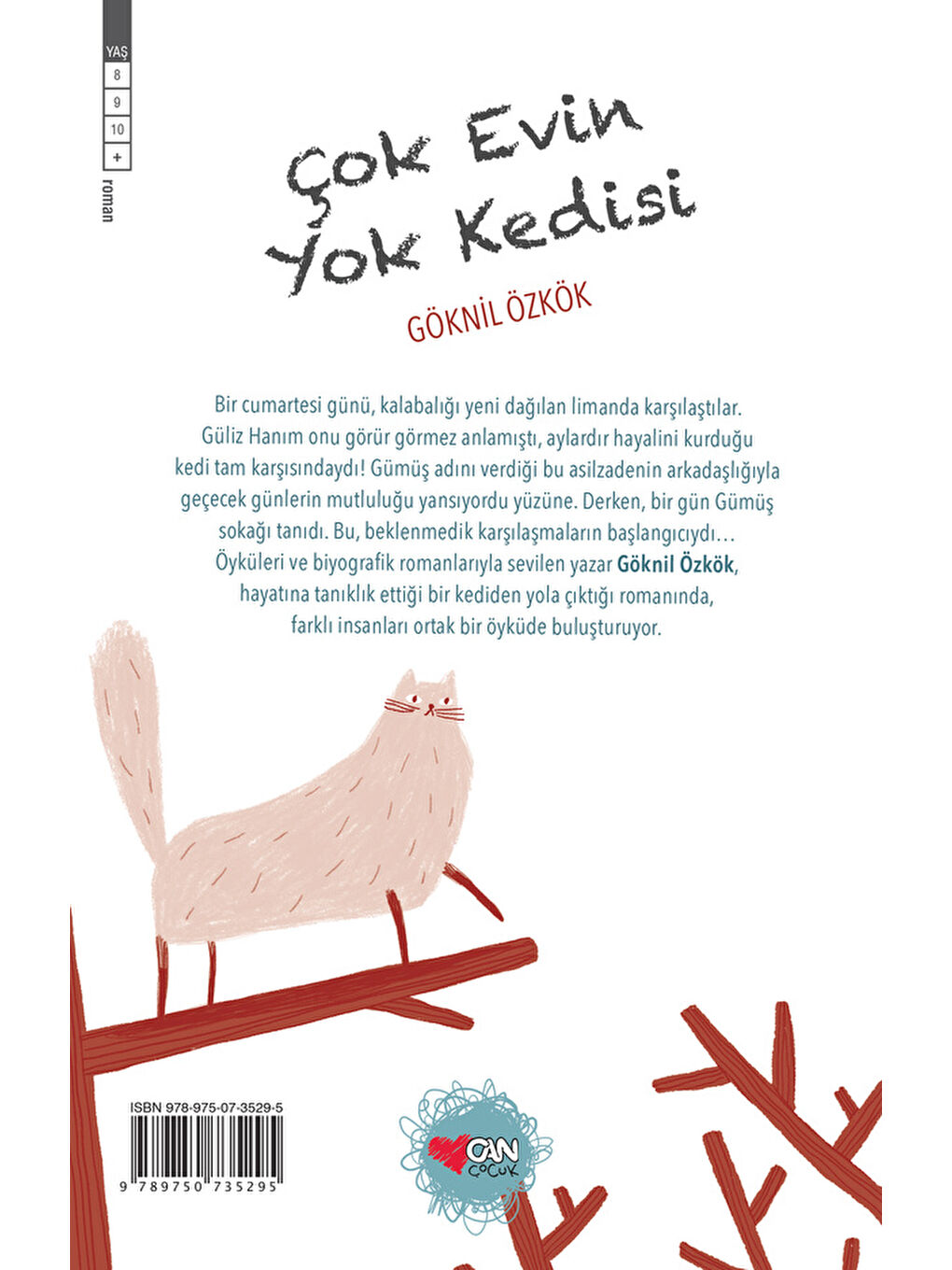 Çok Evin Yok Kedisi-2